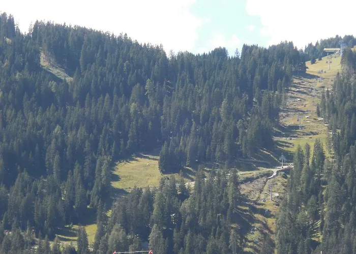 贝尔马尔德斯公寓 公寓 *