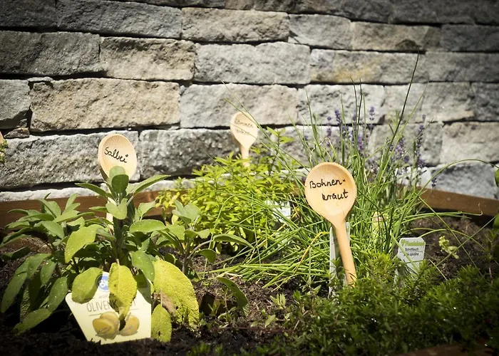 公寓 贝尔马尔德斯公寓 费斯